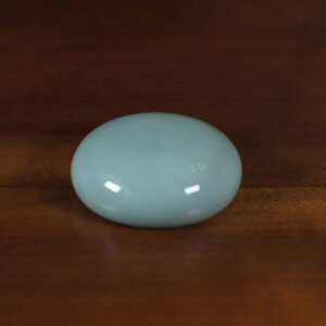 Black porcelain paperweight